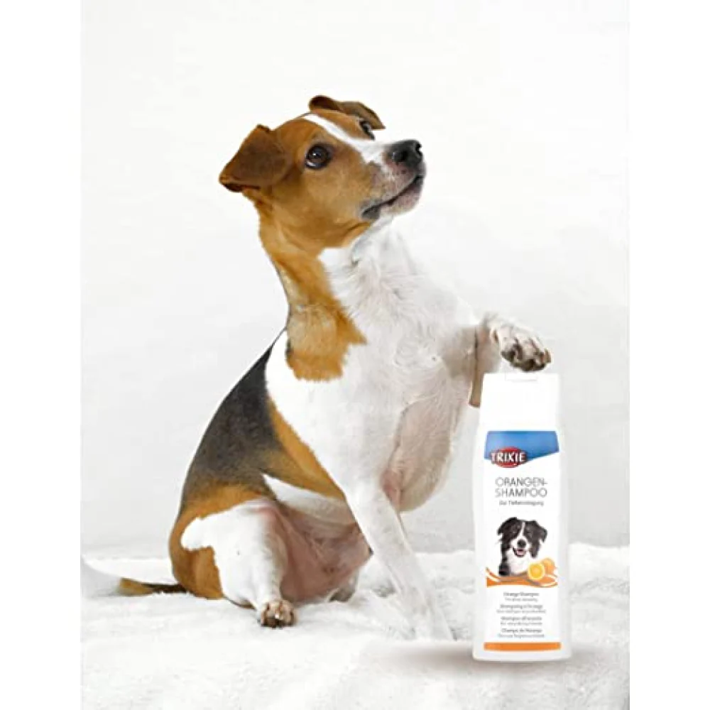 Trixie Orange Shampoo for Dogs - Image 6