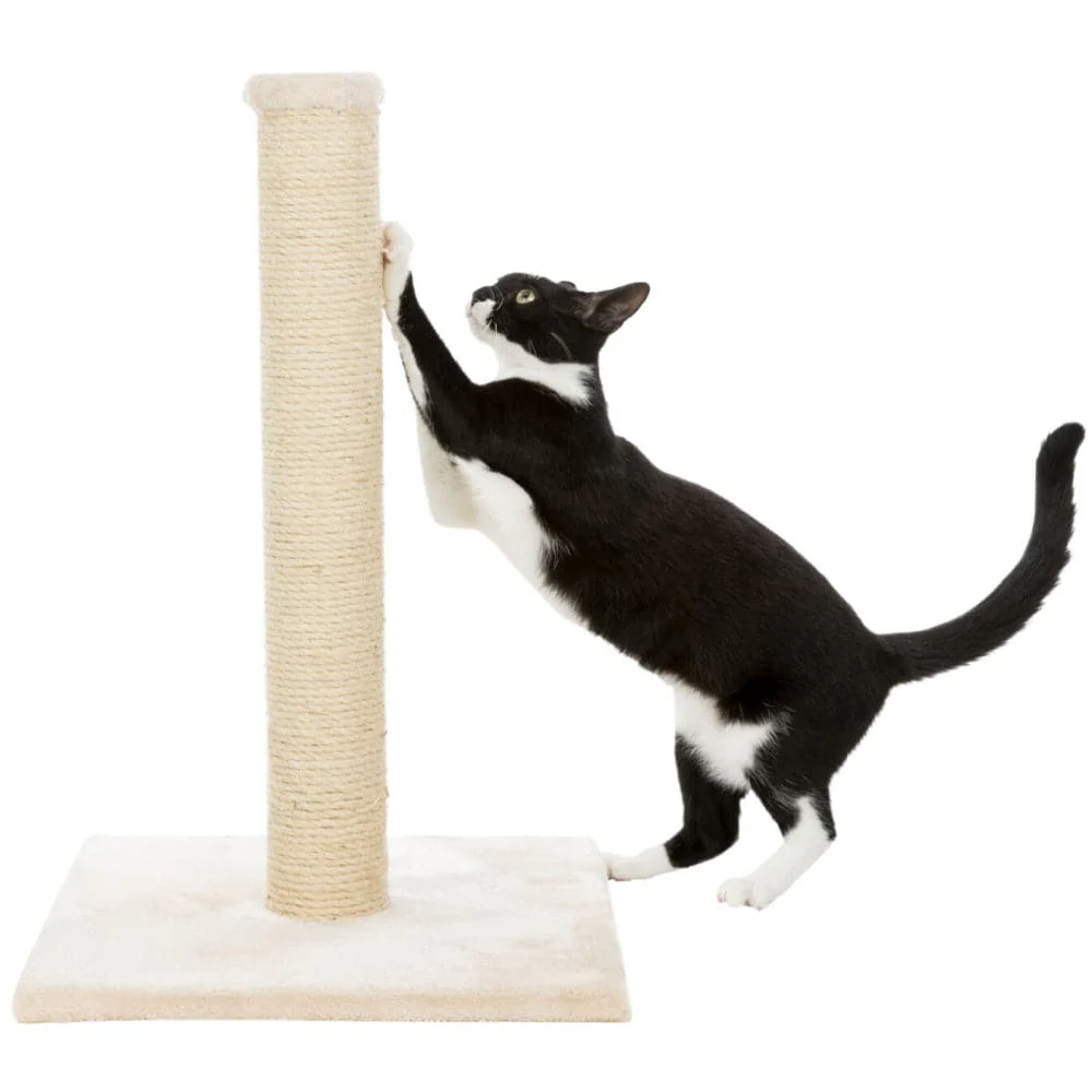 Trixie Parla Scratching Post for Cats (Beige) - Image 4