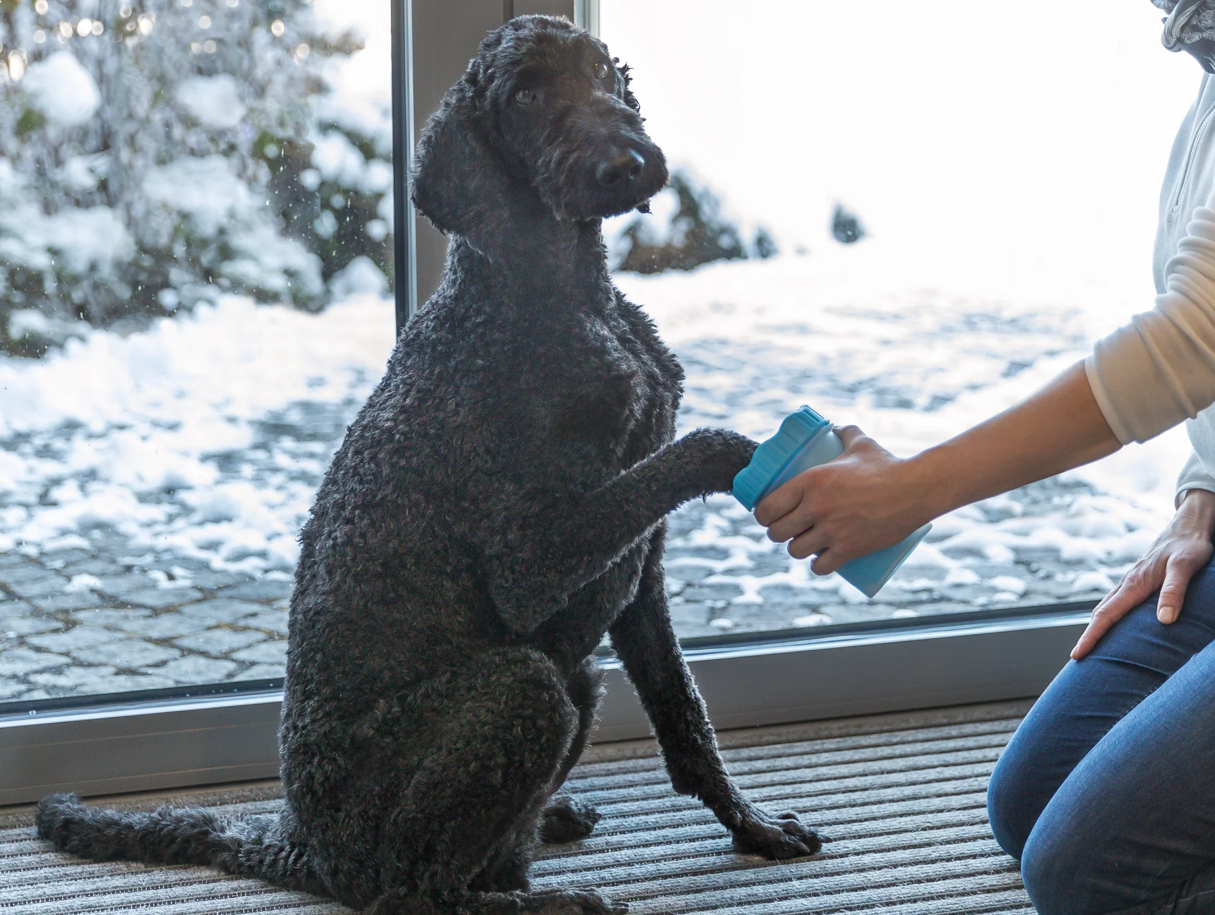 Trixie Paw Cleaner for Dogs and Cats - Image 5