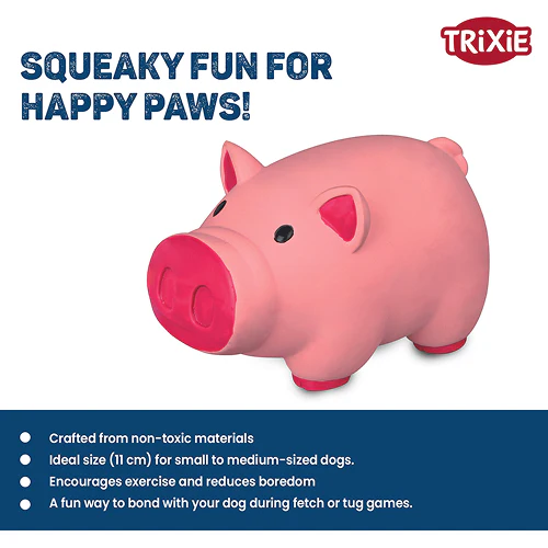 Trixie Pig Latex Intreactive chew Toy for Dogs (Blue) - Image 4