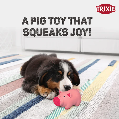 Trixie Pig Latex Intreactive chew Toy for Dogs (Blue) - Image 5