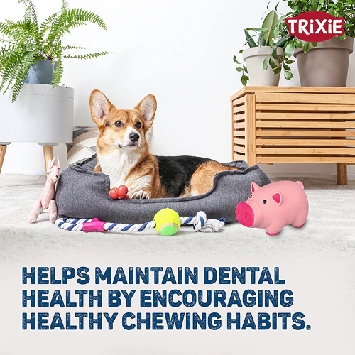 Trixie Pig Latex Intreactive chew Toy for Dogs (Blue) - Image 6