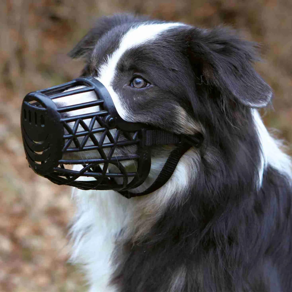 Trixie Plastic Muzzle for Dogs - Image 2