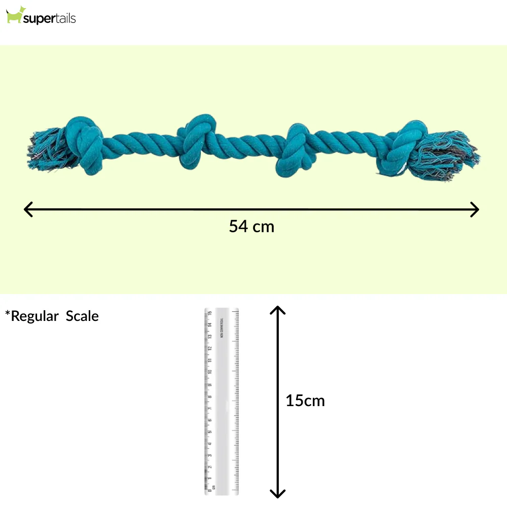 Trixie Playing Rope Toy for Dogs (Blue) - Image 2