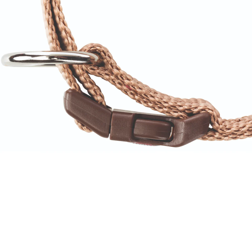 Trixie Premium Collar for Dogs (Caramel) - Image 4