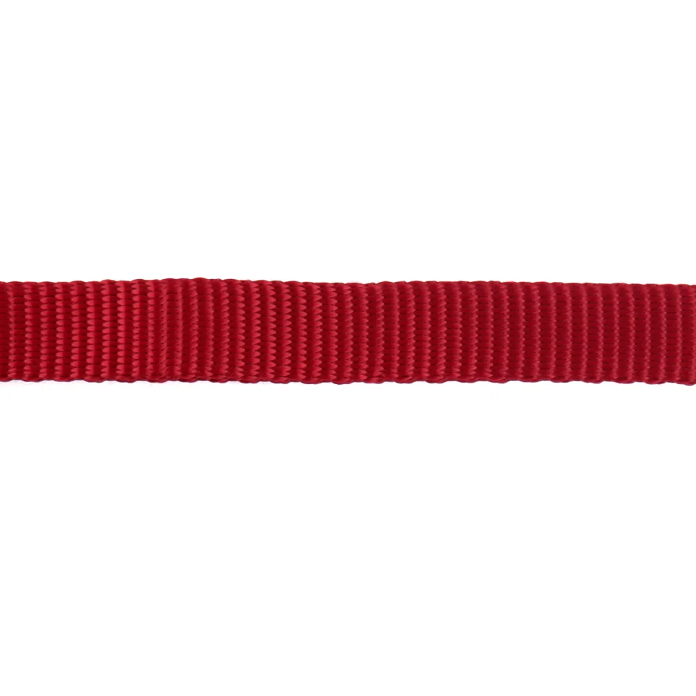 Trixie Premium Collar for Dogs (Red) - Image 4