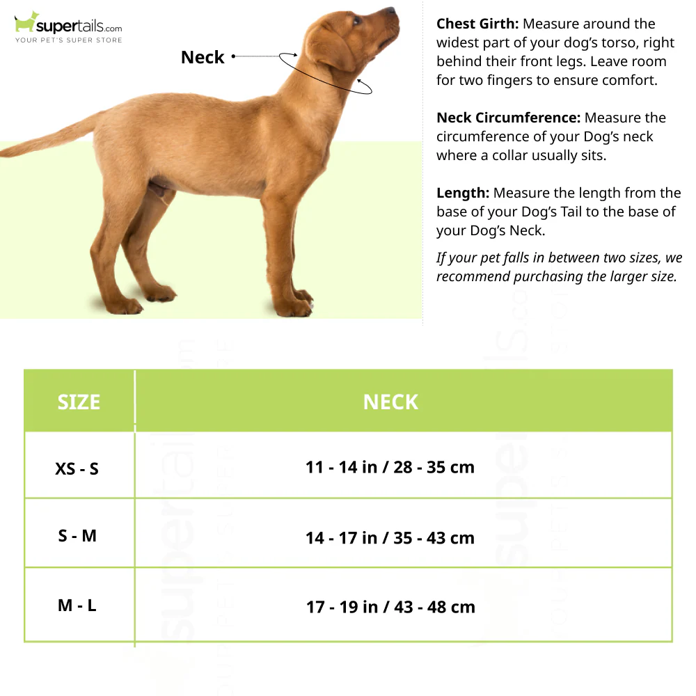 Trixie Premium Extra Wide Neoprene Padded Collar for Dogs (Boho Diamond/Caramel) - Image 2