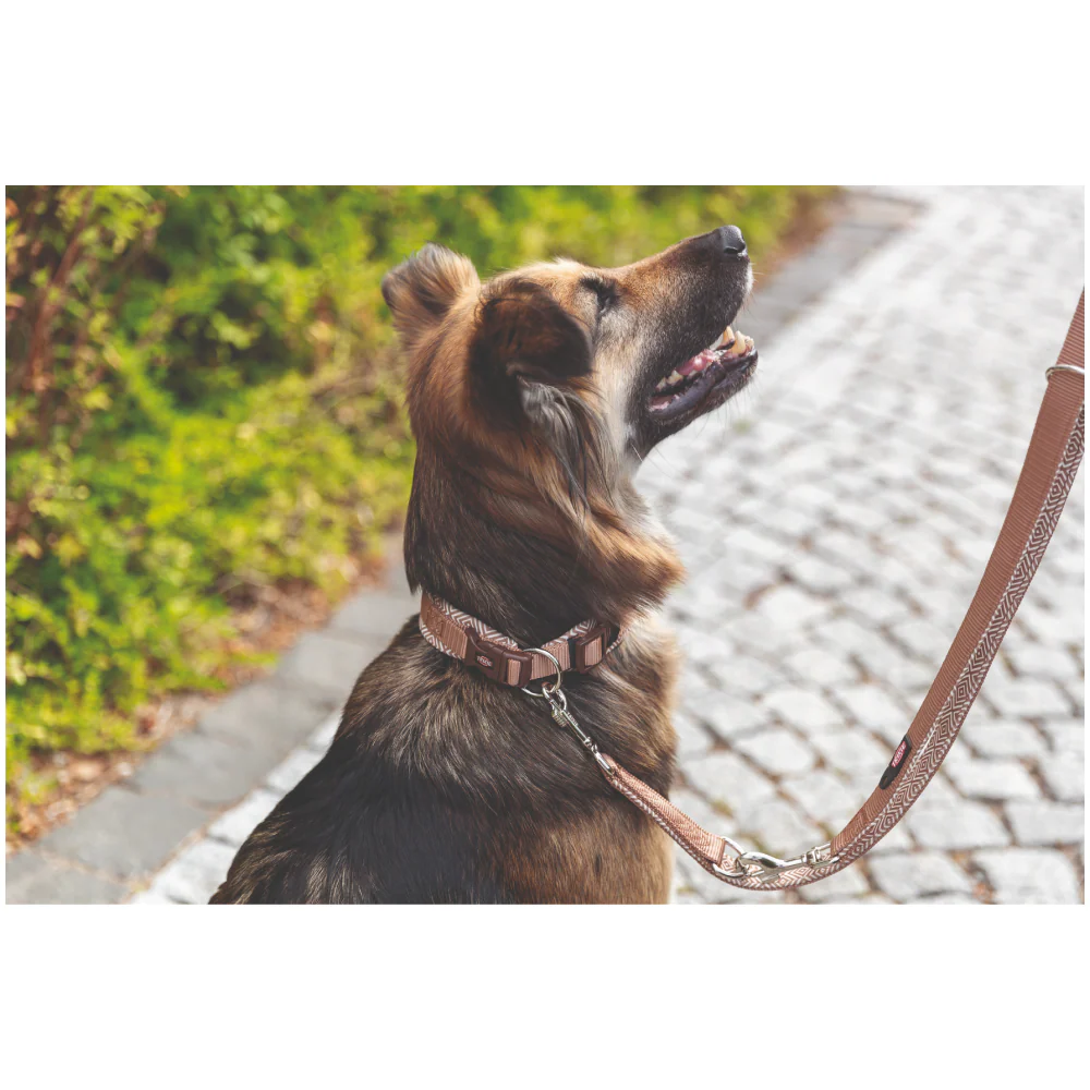 Trixie Premium Extra Wide Neoprene Padded Collar for Dogs (Boho Diamond/Caramel) - Image 6