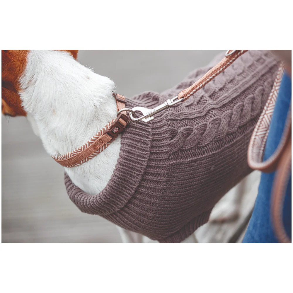 Trixie Premium Extra Wide Neoprene Padded Collar for Dogs (Boho Diamond/Caramel) - Image 7
