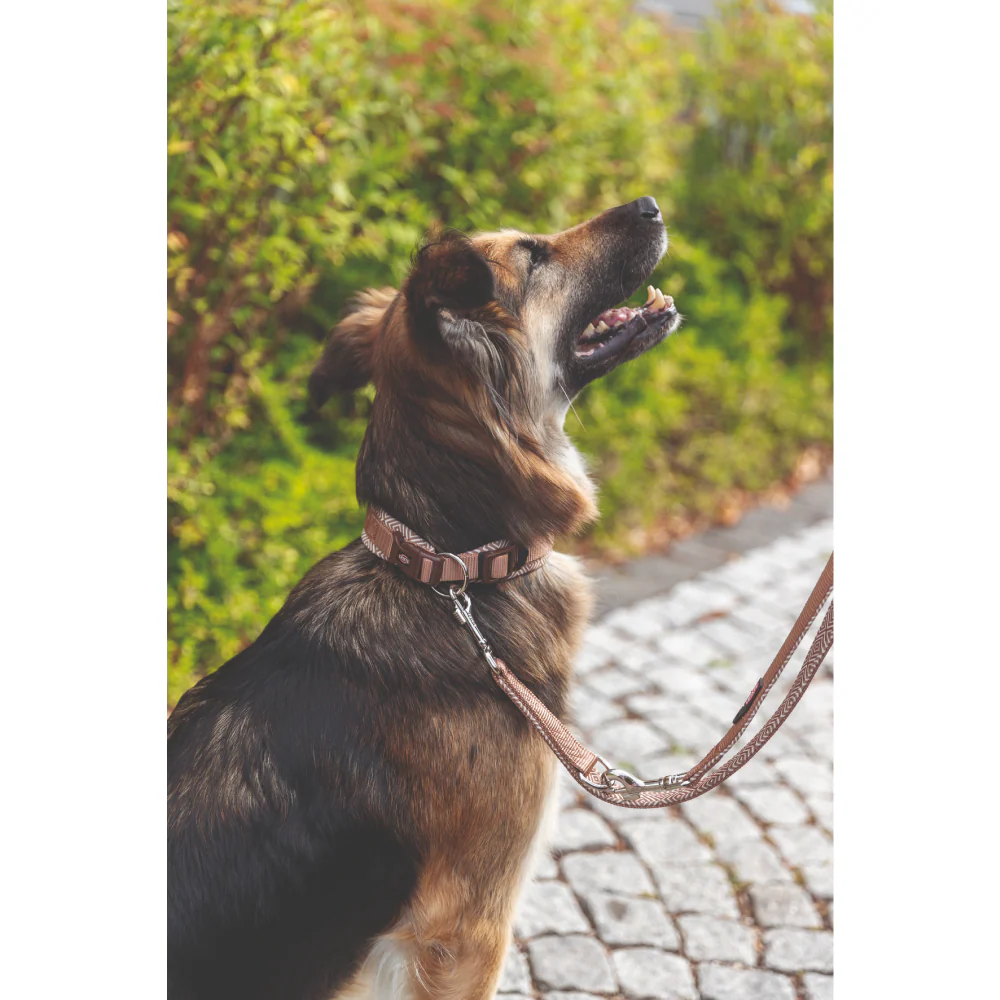 Trixie Premium Extra Wide Neoprene Padded Collar for Dogs (Boho Diamond/Caramel) - Image 8
