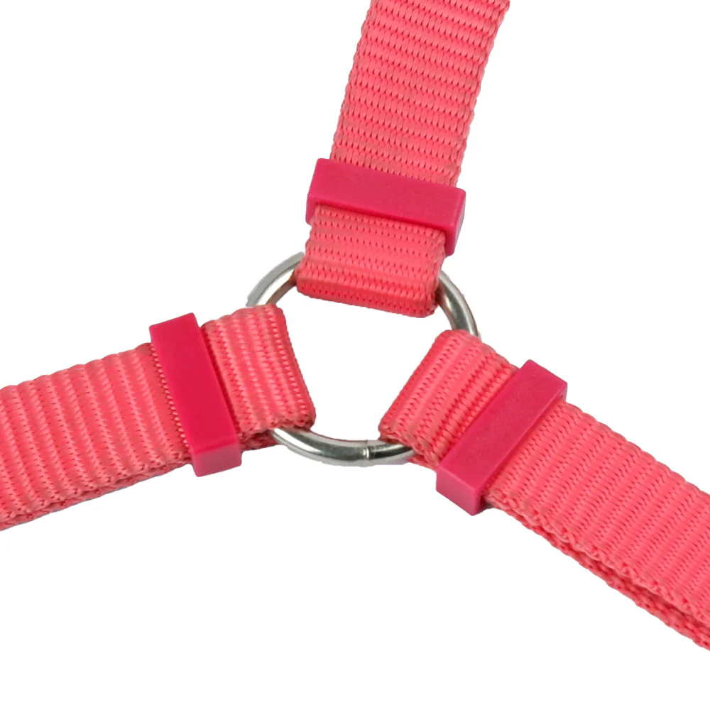 Trixie Premium H Harness for Dogs (Coral) - Image 3
