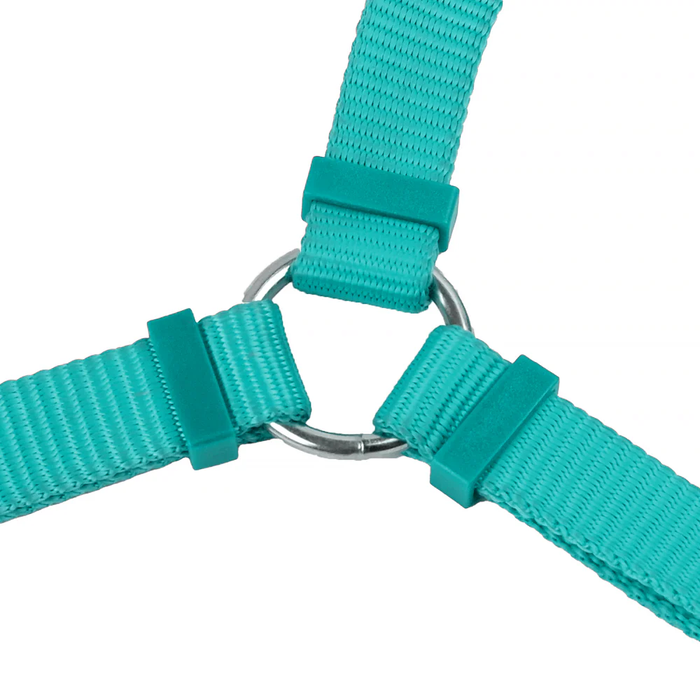 Trixie Premium H Harness for Dogs (Ocean) - Image 5