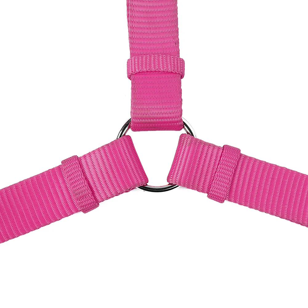 Trixie Premium H Harness for Dogs (Orchid) - Image 3