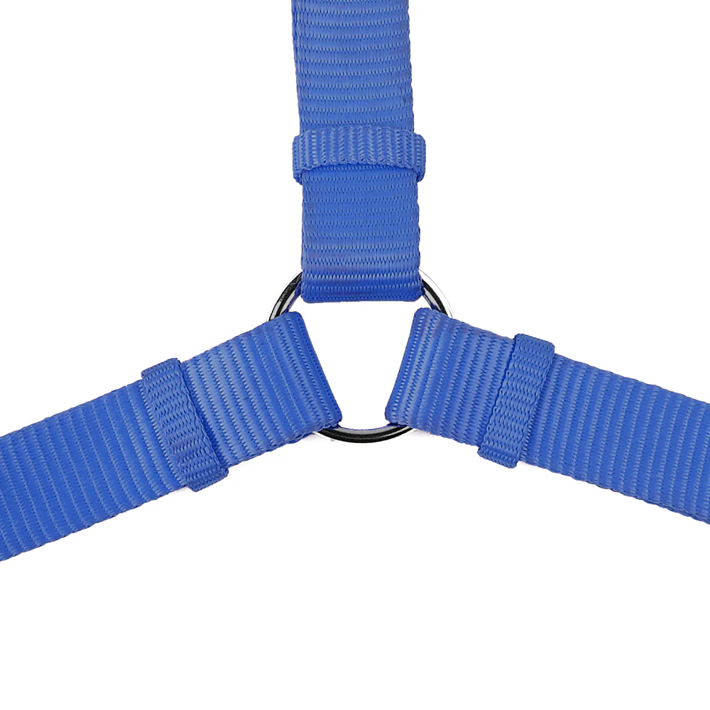 Trixie Premium H Harness, Premium Leash and Collar for Dogs Combo (Royal Blue) - M - Image 6