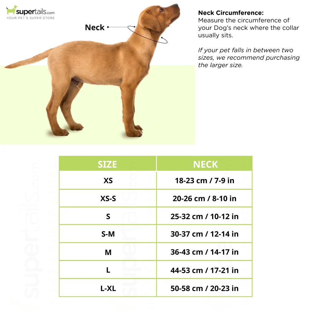 Trixie Protective Elizabethan Collar with Velcro for Dogs and Cats - Image 2