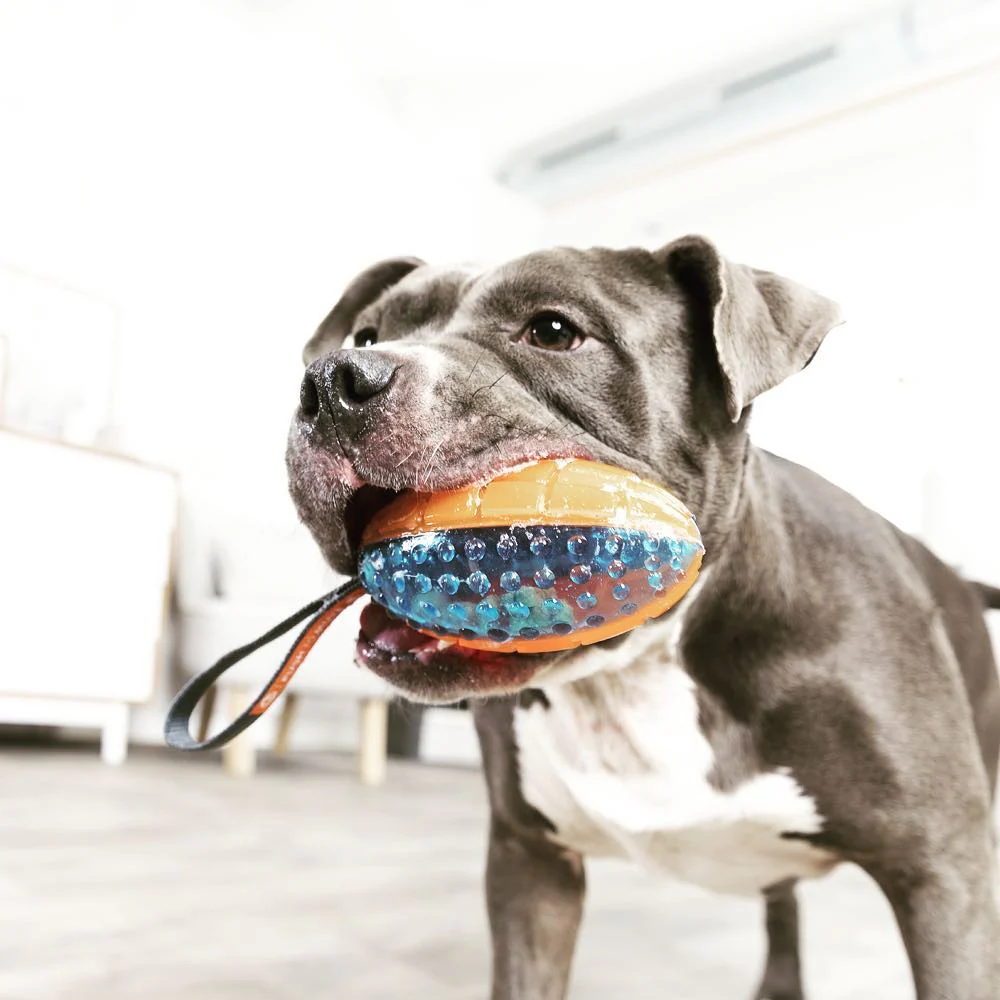 Trixie Push To Mute Rubber Rugby Ball on Rope Toy for Dogs (Orange/Blue) - Image 5