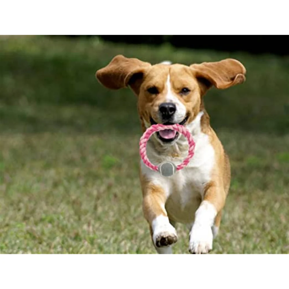 Trixie Rope Ring with Tennis Ball Toy for Dogs (Pink) | For Medium Chewers - Image 6