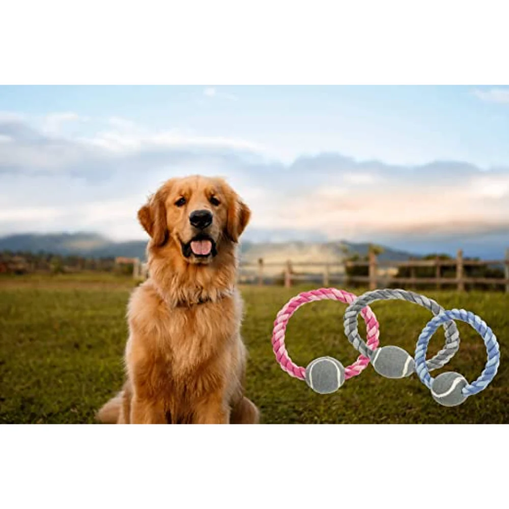 Trixie Rope Ring with Tennis Ball Toy for Dogs (Pink) | For Medium Chewers - Image 7