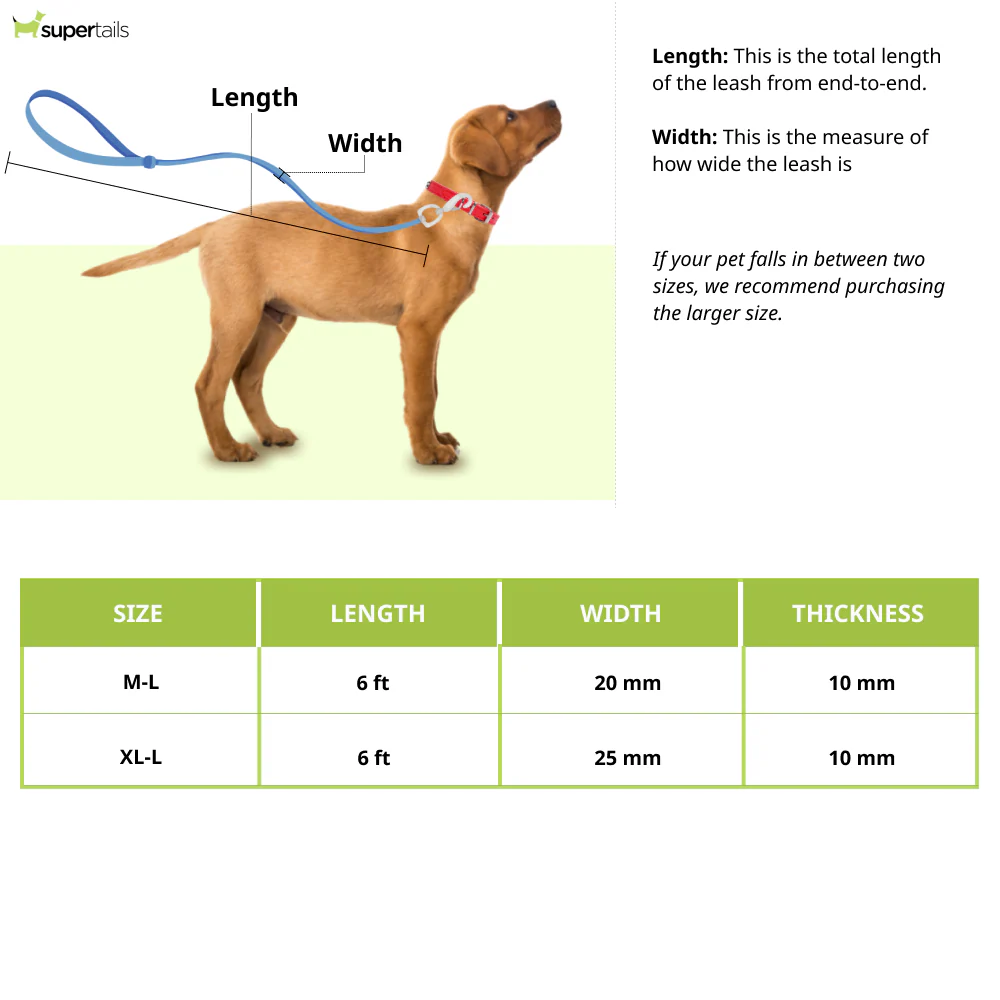 Trixie Softline Elegance Adjustable Leash for Dogs (Ocean/Petrol) - Image 2