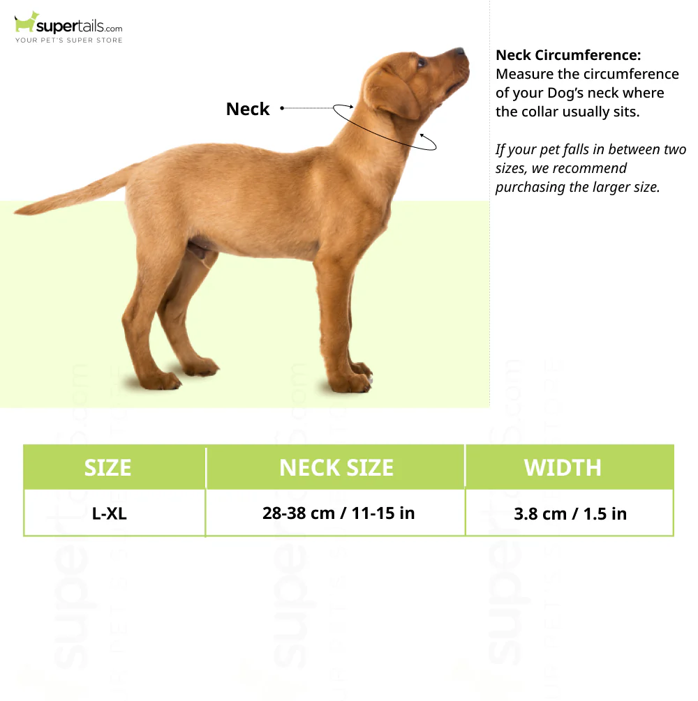 Trixie Softline Elegance Collar for Dogs (Black/Graphite) - Image 2
