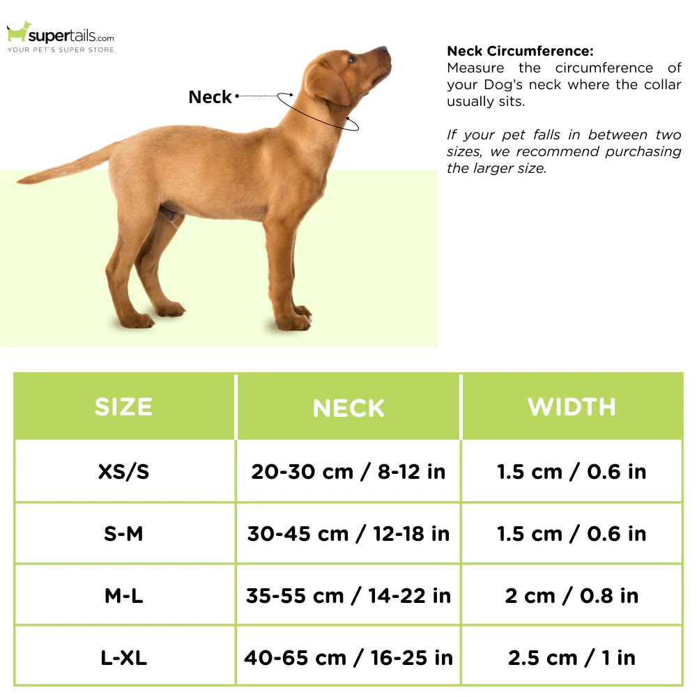 Trixie Softline Elegance Collar for Dogs (Ocean/Petrol) - Image 2