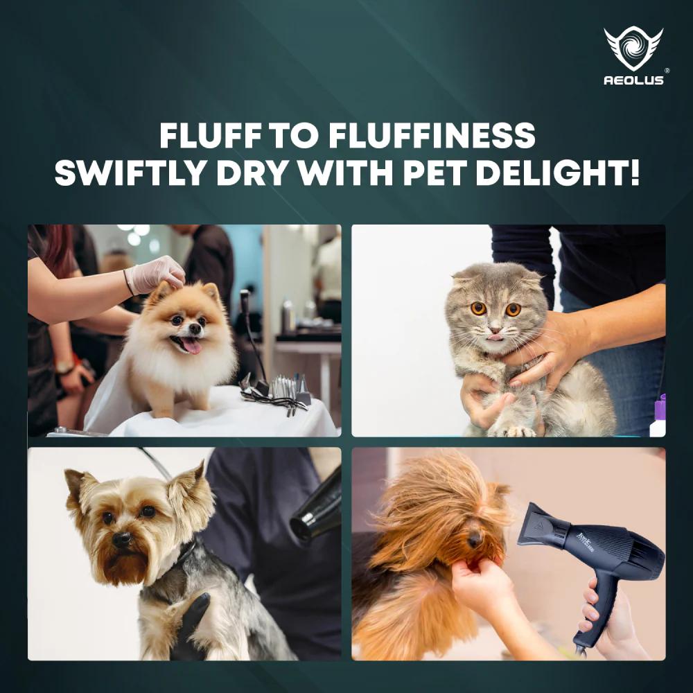 Trixie Supalite Handheld Dryer for Dogs and Cats - Image 5