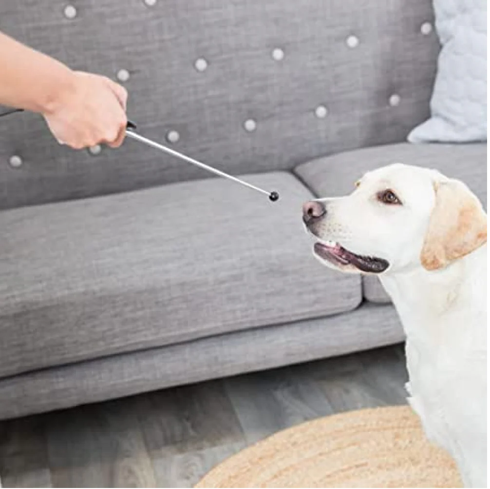 Trixie Target Stick with Clicker Button Retractable Toy for Dogs and Cats (Grey) - Image 3