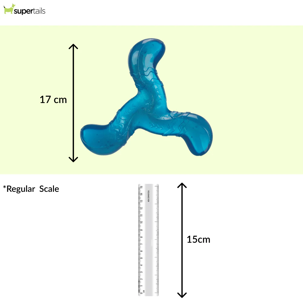 Trixie Triplex Bungee Boomerang Chew Toy for Dogs (Blue) - Image 2