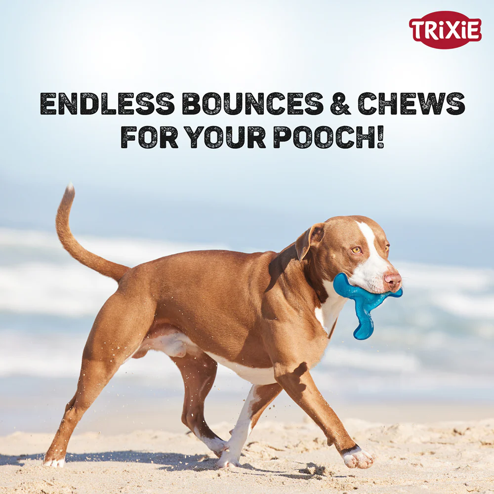 Trixie Triplex Bungee Boomerang Chew Toy for Dogs (Blue) - Image 3