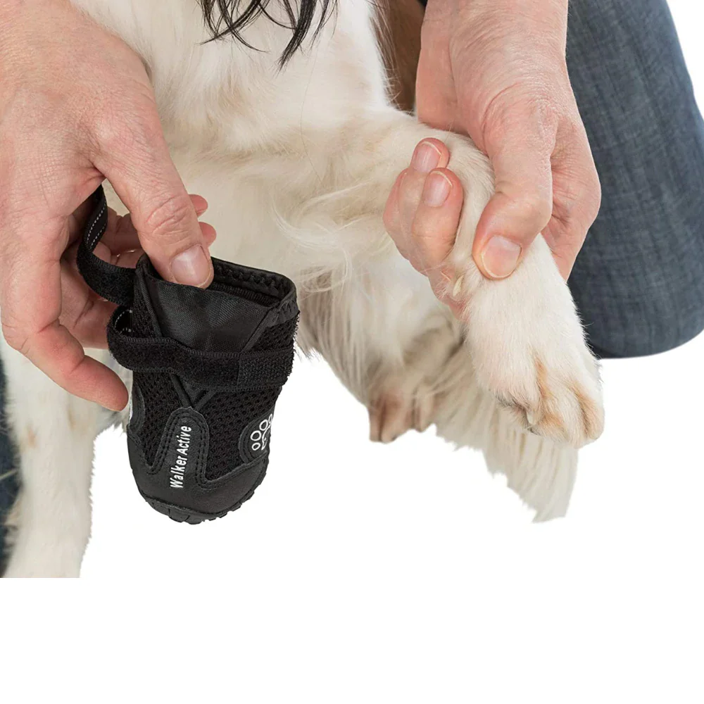 Trixie Walker Active Protective Boots for Dogs (Black, Set of 4) - Image 5