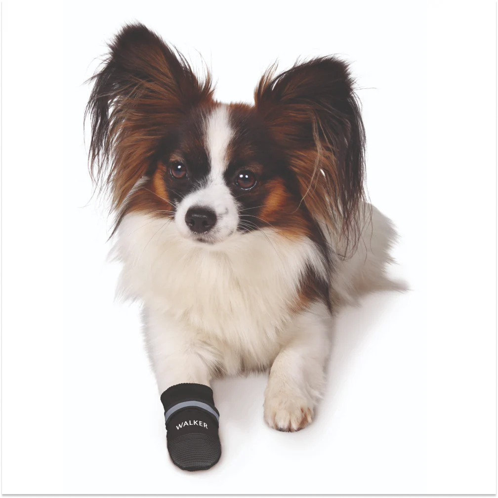 Trixie Walker Care Comfort Protective Boots for Dogs - Image 2