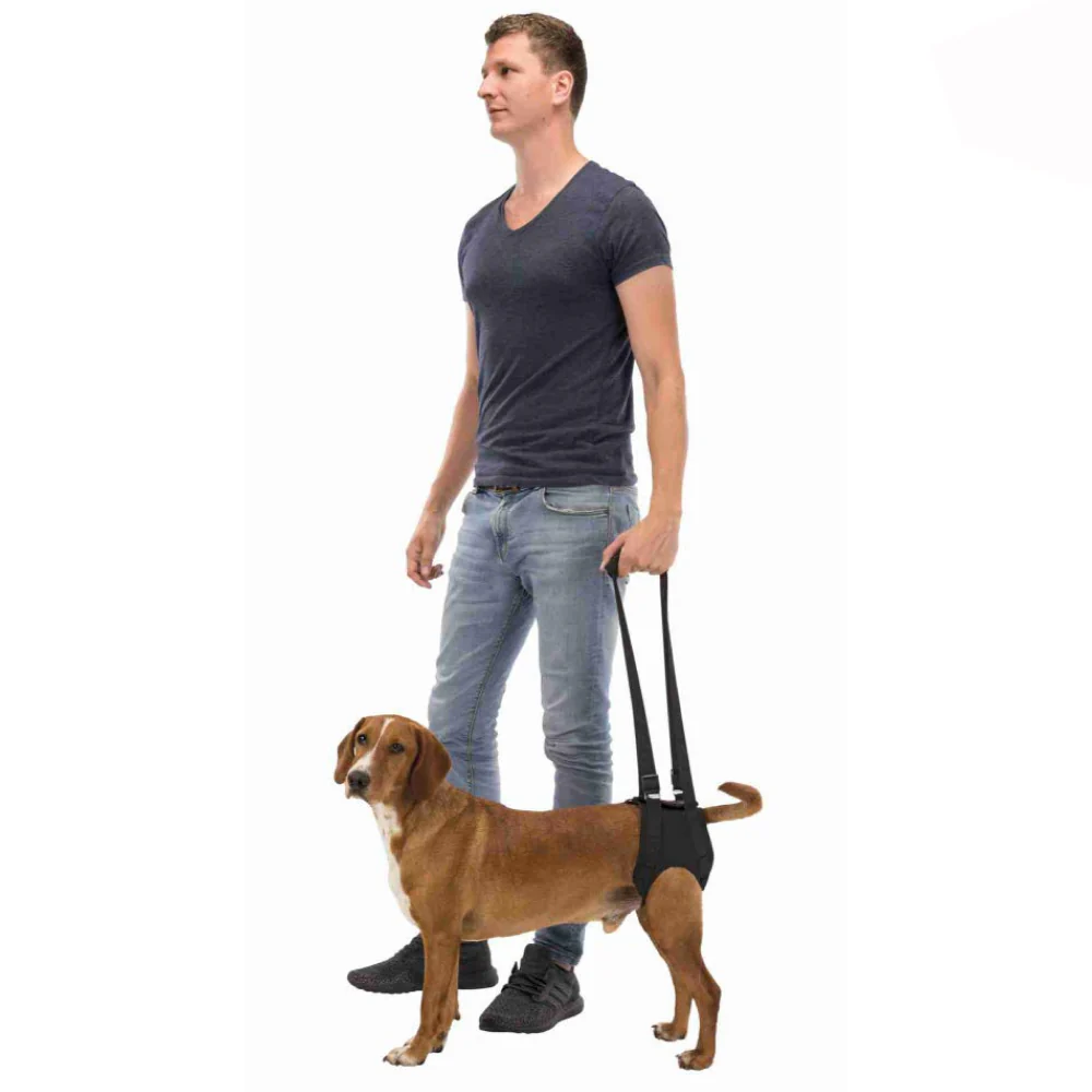 Trixie Walking Aid for Dogs - Image 5