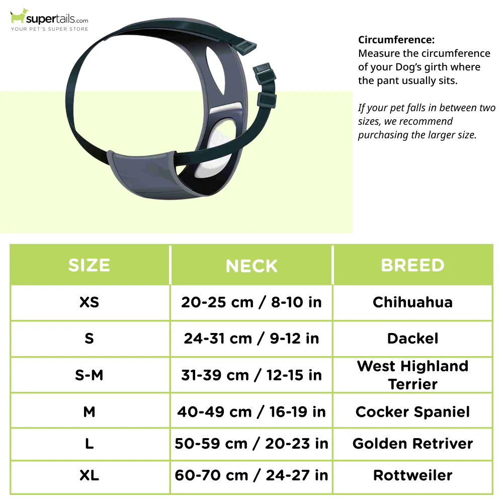 Trixie Washable Protective Pants for Dogs - Image 2