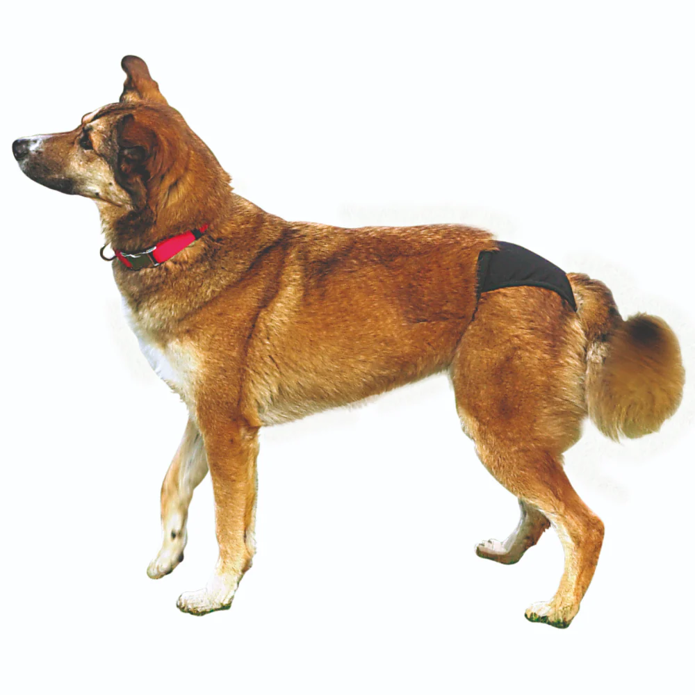 Trixie Washable Protective Pants for Dogs - Image 3