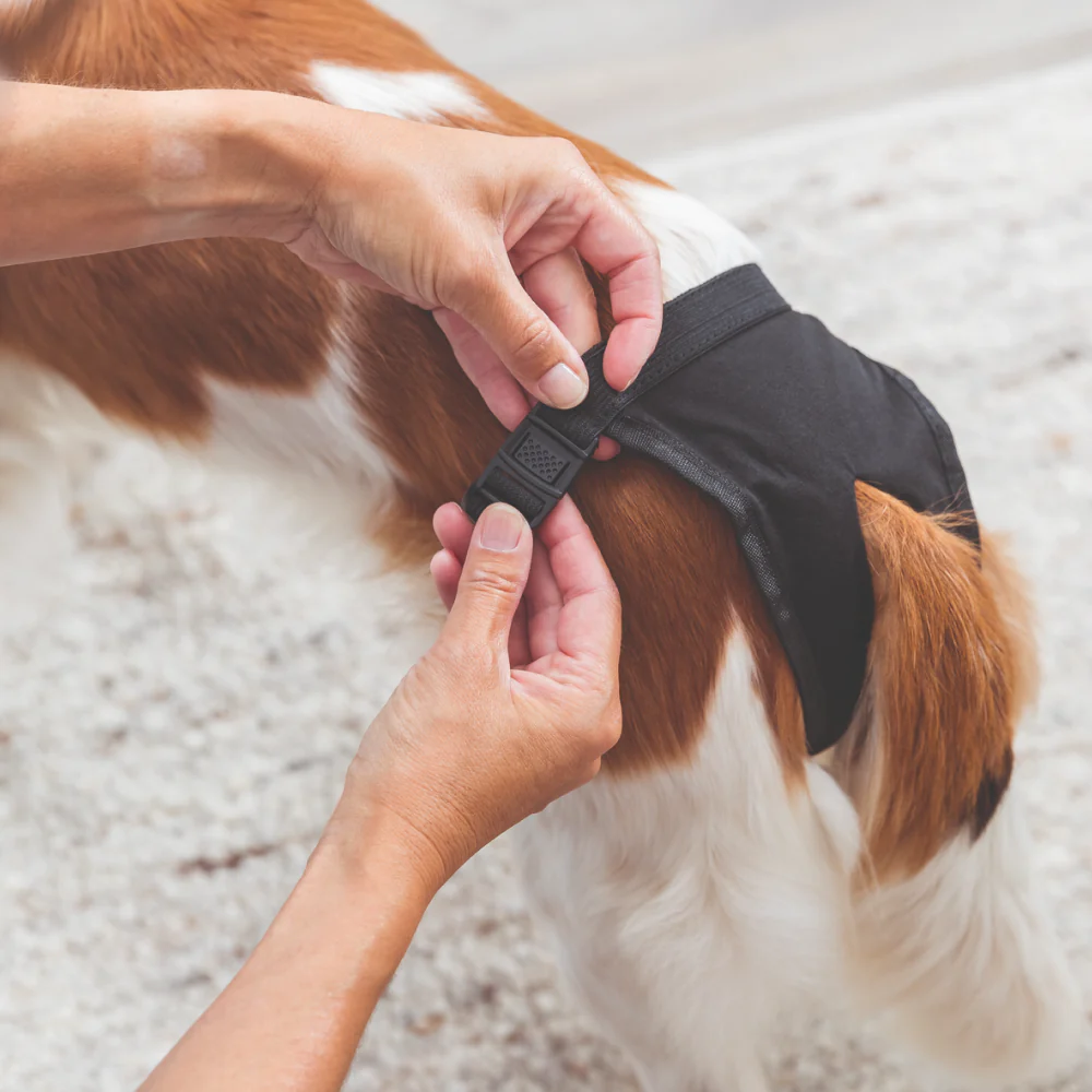 Trixie Washable Protective Pants for Dogs - Image 4