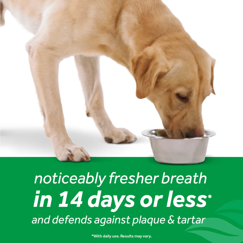 Tropiclean Advanced Whitening Oral Care Water Additive for Dogs - Image 13