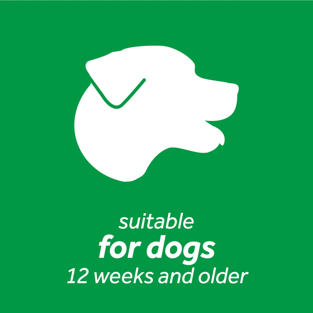 Tropiclean Advanced Whitening Oral Care Water Additive for Dogs - Image 7