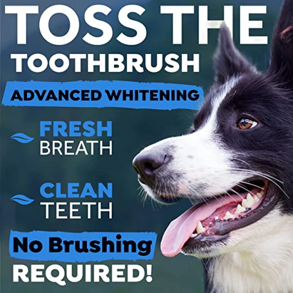 Tropiclean Advanced Whitening Oral Care Water Additive for Dogs - Image 8