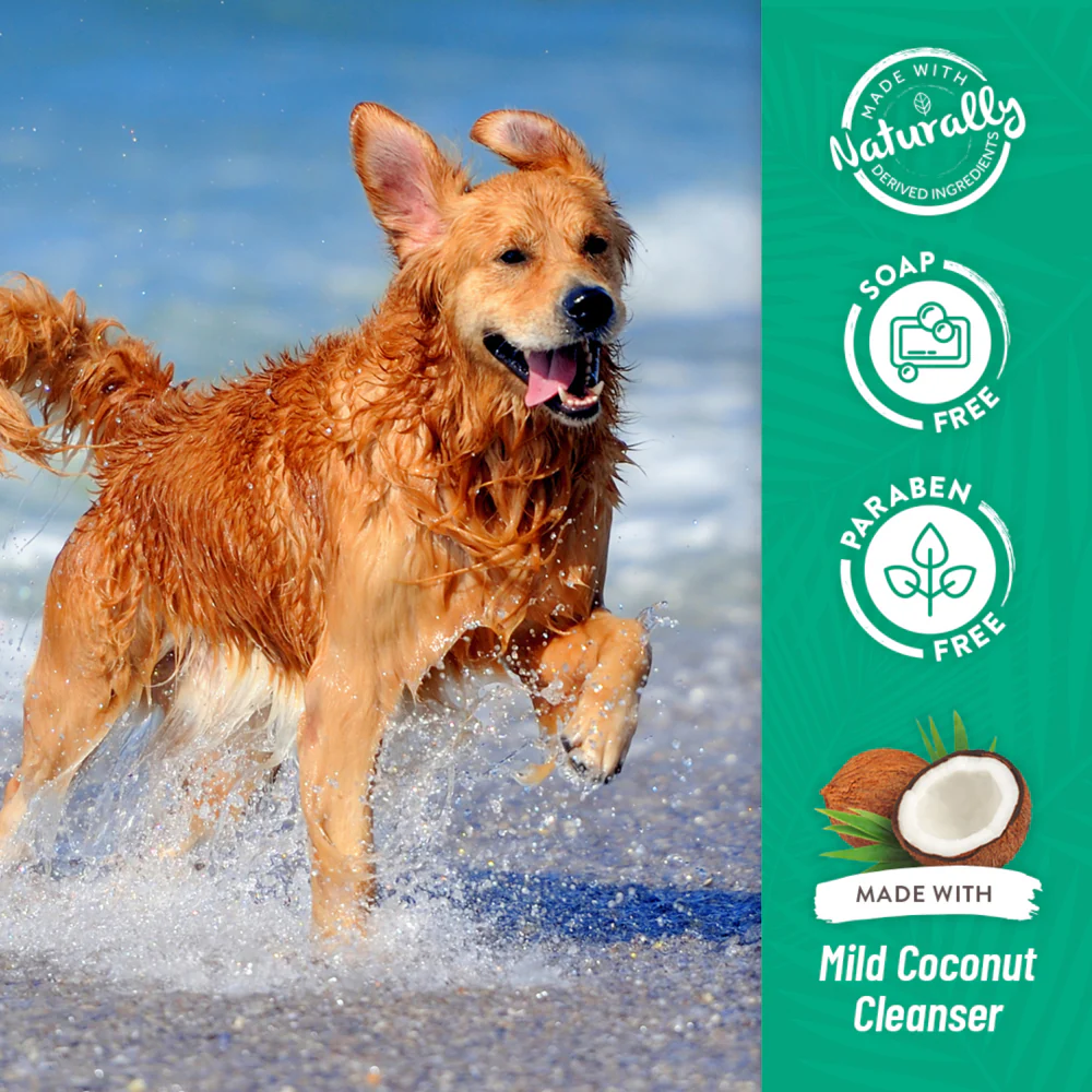 Tropiclean Berry and Coconut Deep Cleaning Shampoo for Dogs and Cats - Image 14