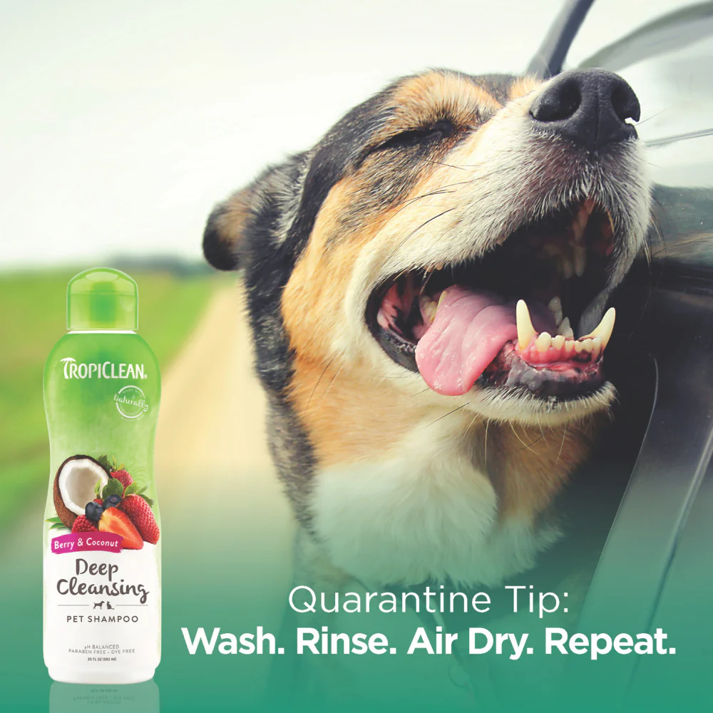 Tropiclean Berry and Coconut Deep Cleaning Shampoo for Dogs and Cats - Image 15