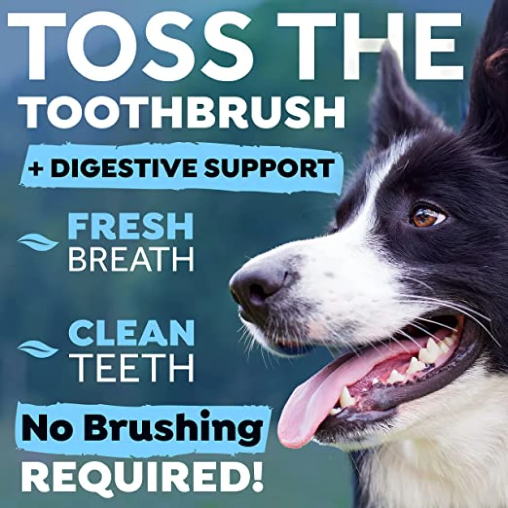 Tropiclean Fresh Breath Digestive Support Water Additive for Dogs - Image 3