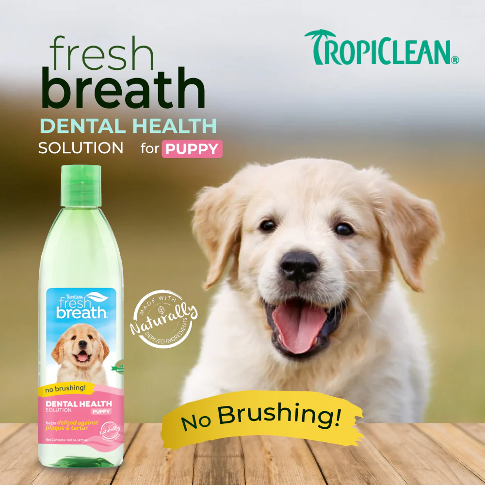 Tropiclean Fresh Breath Puppy Water Additive for Dogs - Image 12