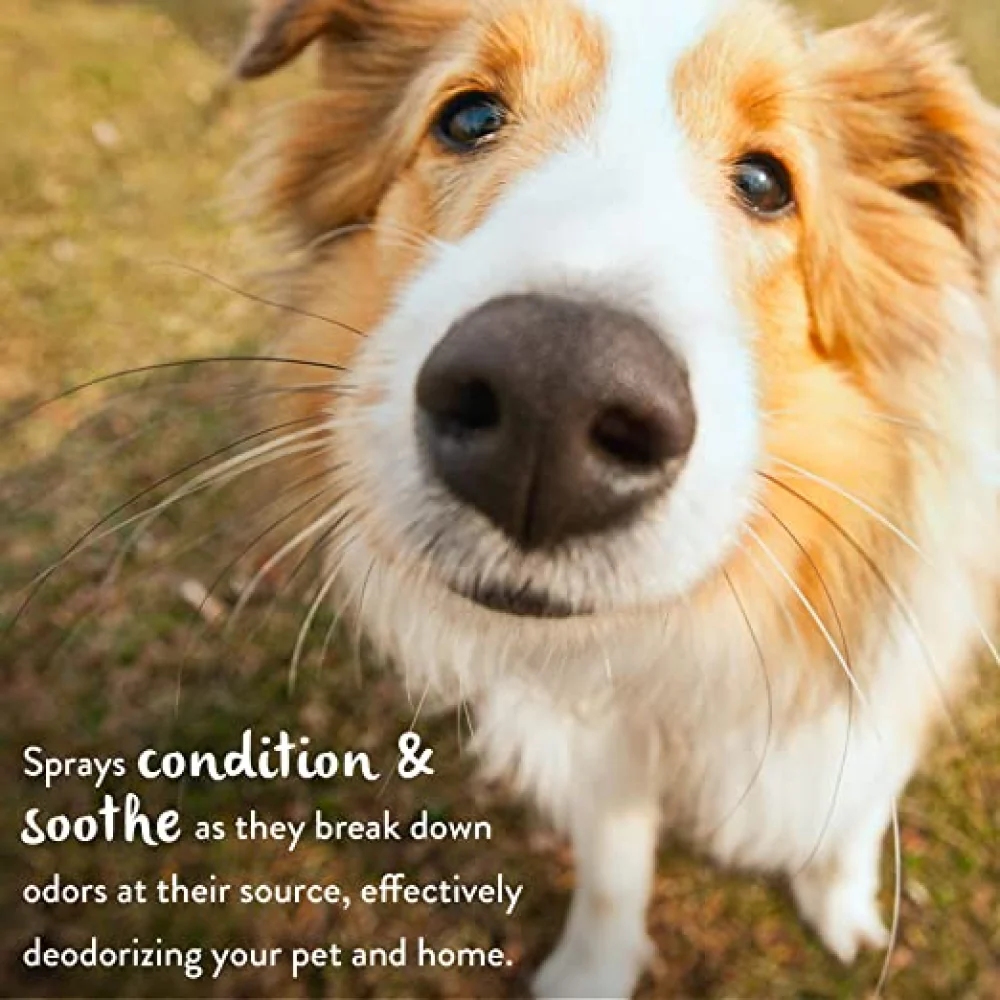Tropiclean Lime & Coconut Deodorizing Pet Spray for Dogs and Cats - Image 4