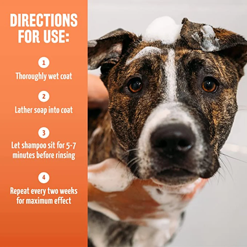 Tropiclean Maximum Strength Natural Flea & Tick Shampoo for Dogs - Image 10