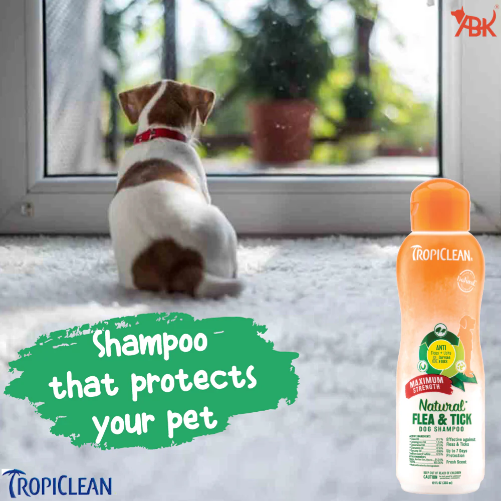 Tropiclean Maximum Strength Natural Flea & Tick Shampoo for Dogs - Image 13