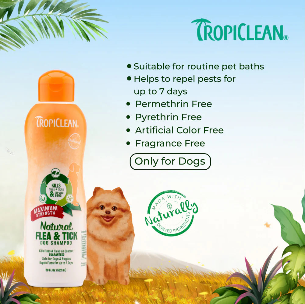 Tropiclean Maximum Strength Natural Flea & Tick Shampoo for Dogs - Image 5