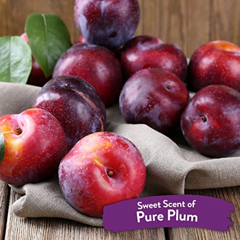 Tropiclean Pure Plum Deodorizing Spray for Dogs and Cats - Image 5