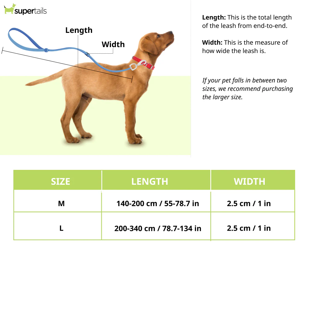 Truelove Bunjee Leash for Dogs (Baltic) - Image 2