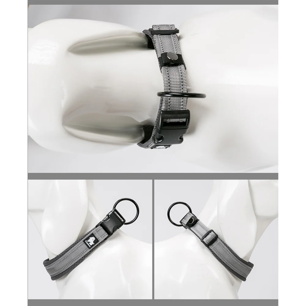 Truelove Classic Collar for Dogs (Grey) - Image 5