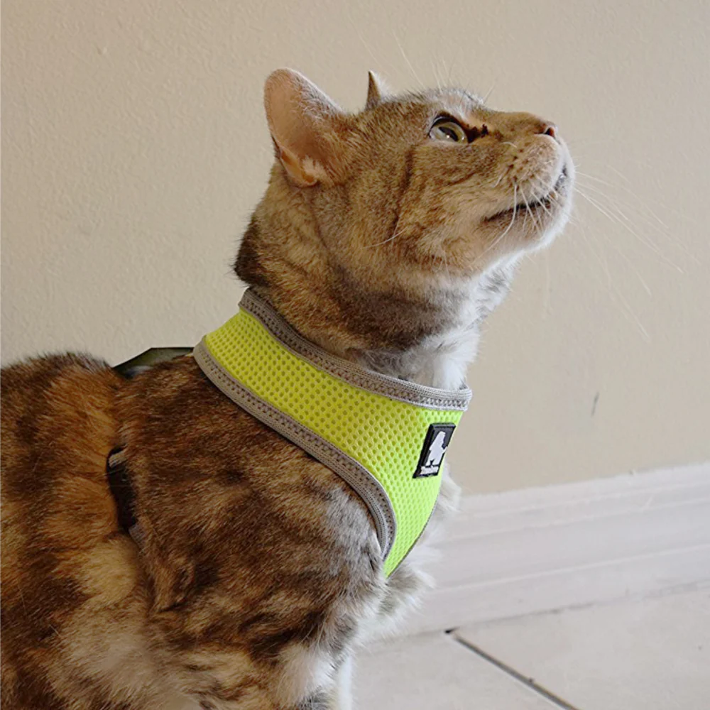 Truelove Harness for Cats and Small Dogs (Black) - Image 6